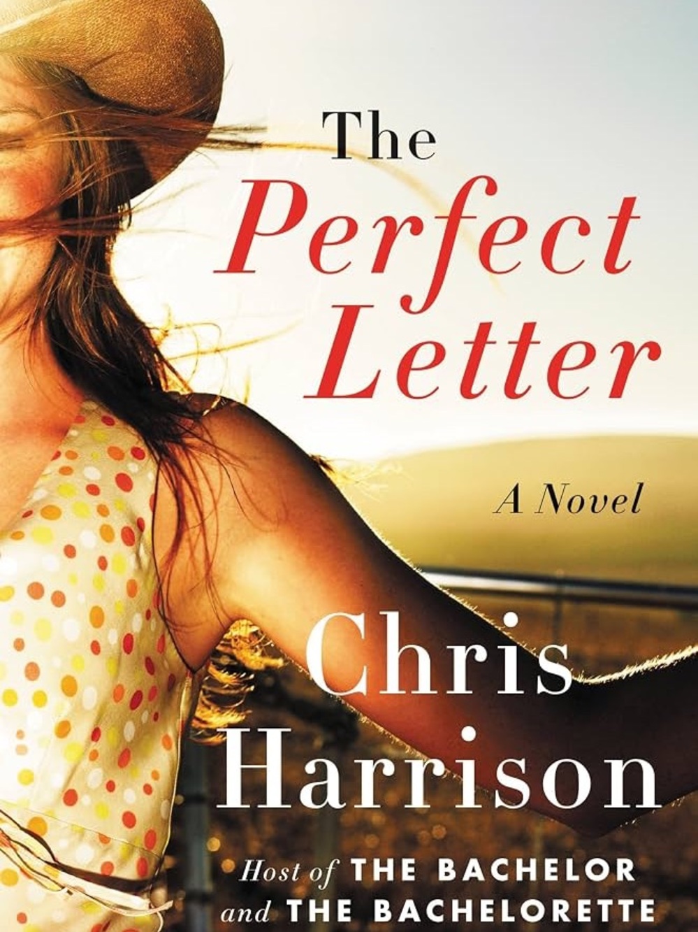 The Perfect Letter by Chris Harrison Paperback Book